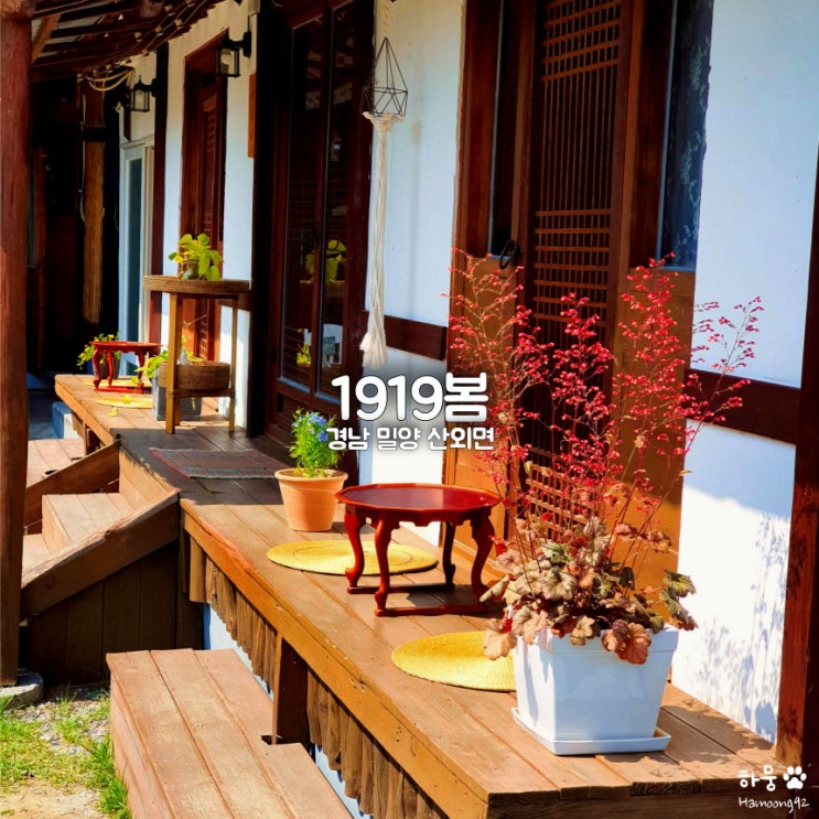  밀양 산외면 한옥카페 1919봄, 애견동반 쑥떡와플 맛집