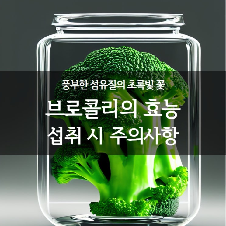  브로콜리 암예방 필수 음식 ! ㅣ 브로콜리의 효능과 유의사항