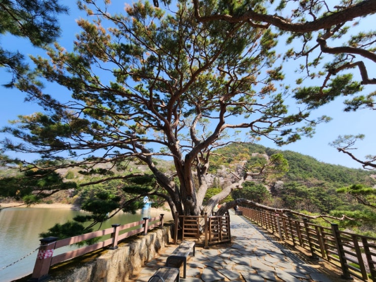  양산 가볼만한곳 아름답지만 슬픈 법기수원지