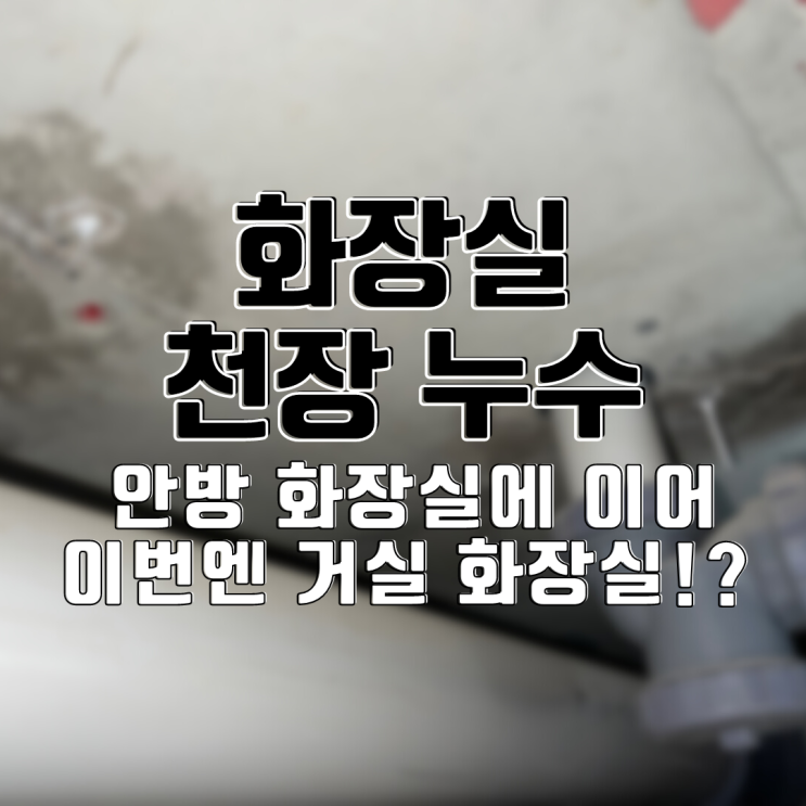  동탄누수탐지 아파트 화장실 천장 누수-안방 화장실에 이어 이번엔 거실 화장실?!
