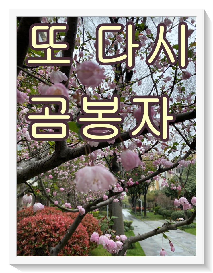 두두두둥~~ 개봉박두 세계 명작 대박 소설