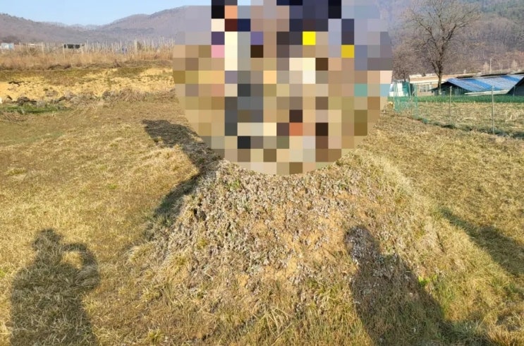  2023년 충북 보은군 마로면 호국원안치 김천고인돌장의사 #윤달 #윤달이장 #윤달화장 #김천윤달이장 #김천윤달화장 #김천장의사 #구미장의사 #선산장의사 #보은군장의사
