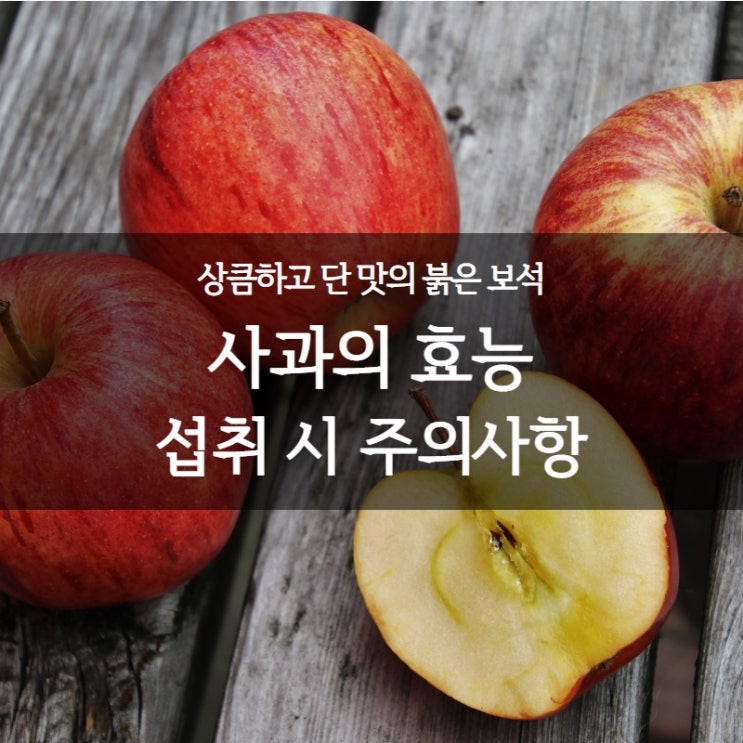  사과 언제 먹는것이 좋을까? ㅣ 사과 섭취시 효능 및 주의사항