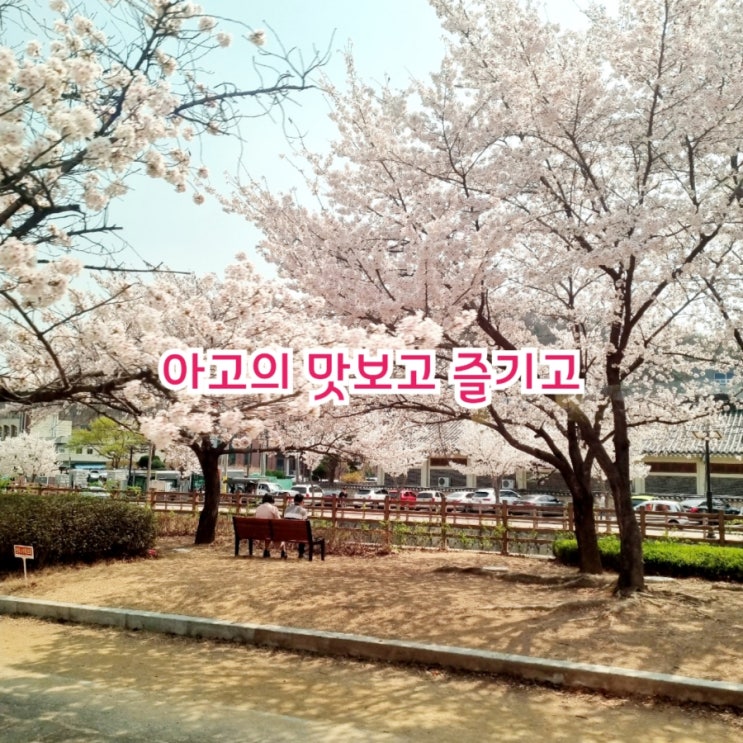  아고의 맛보고 즐기고~ 국내여행 W13