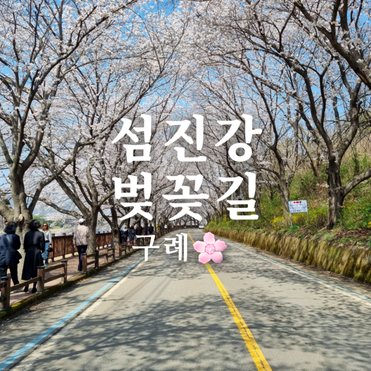  전라남도 구례 벚꽃 명소 섬진강 300리 벚꽃길 + 주차