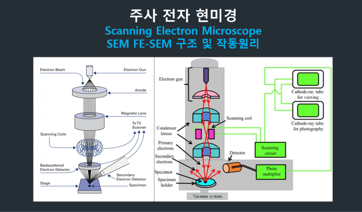 전자 현미경 작동 원리 및 SEM TEM 응용  (Ft. SEM TEM 사진 이미지, 해상도 분해능 공식, 활용분야)