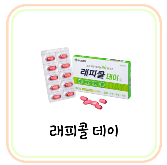  효과 빠른 종합감기약 래피콜 데이 효능 및 복용법 (# 재채기 콧물, 몸살감기)