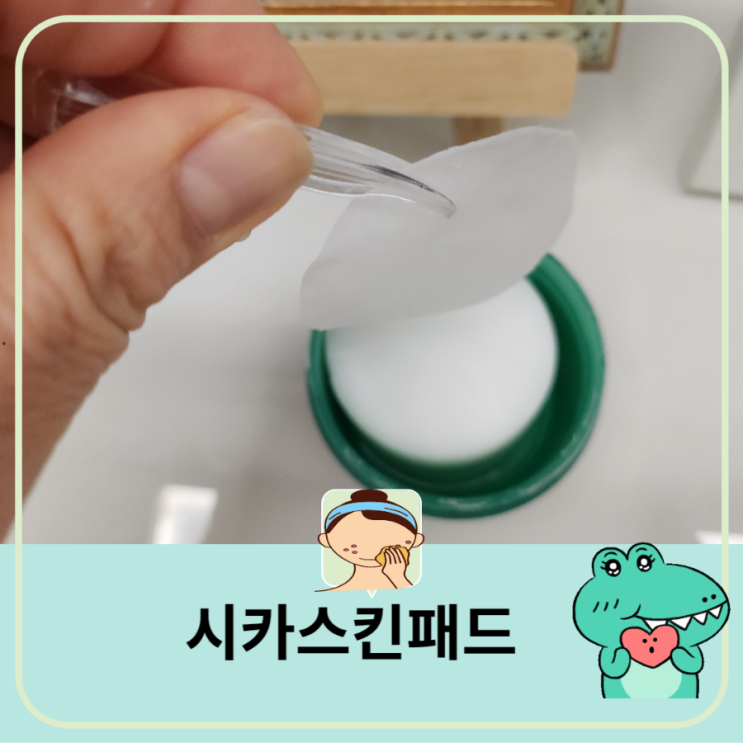  다이소 가성비 좋은 시카 토너 패드 피부 진정 수분 충전  저분자 히알루론산건조한 피부야 가라~~