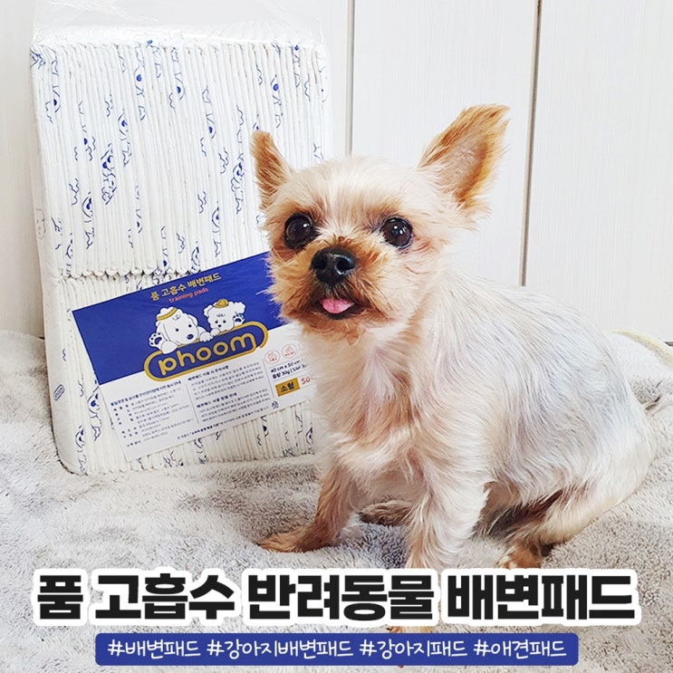 품 고흡수 배변패드 흡수력 좋은 강아지패드 품 고흡수 배변패드 흡수력 좋은 강아지패드