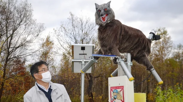 [해외뉴스] "로봇 늑대 VS 실제 곰" - 노령화와 기후 변화가 만든 일본의 독특한 문제
