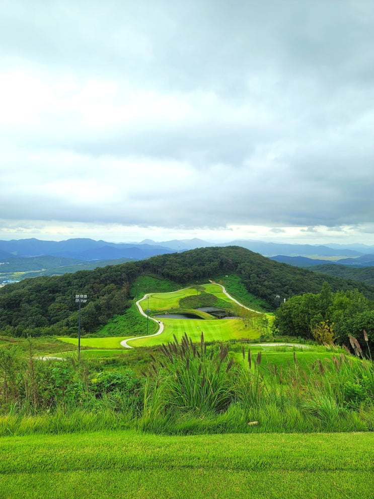  루나엑스 맛집 경주 천북 화산손두부 - 체크인챌린지