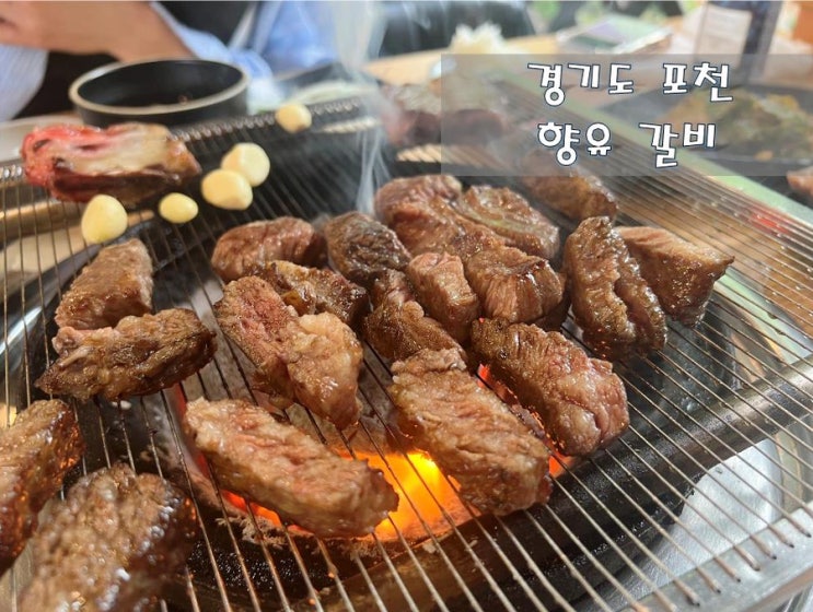  갈비가 입에 녹는다.포천 [향유 갈비]