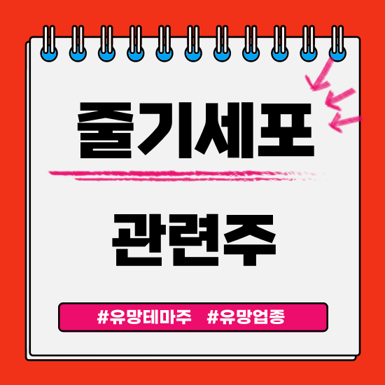  유망테마 - 줄기세포 관련주 테마주 (HLB,제일약품,안트로젠,바이오솔루션,테고사이언스) 주식 주가 분석 및 미래 투자 전망