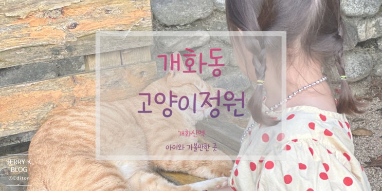  아기랑 주말에 뭐 하지?                    개화동 고양이 카페