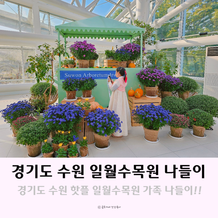 경기도 수원 핫플 일월수목원 나들이 가볼만한곳 경기도 수원 핫플 일월수목원 나들이 가볼만한곳