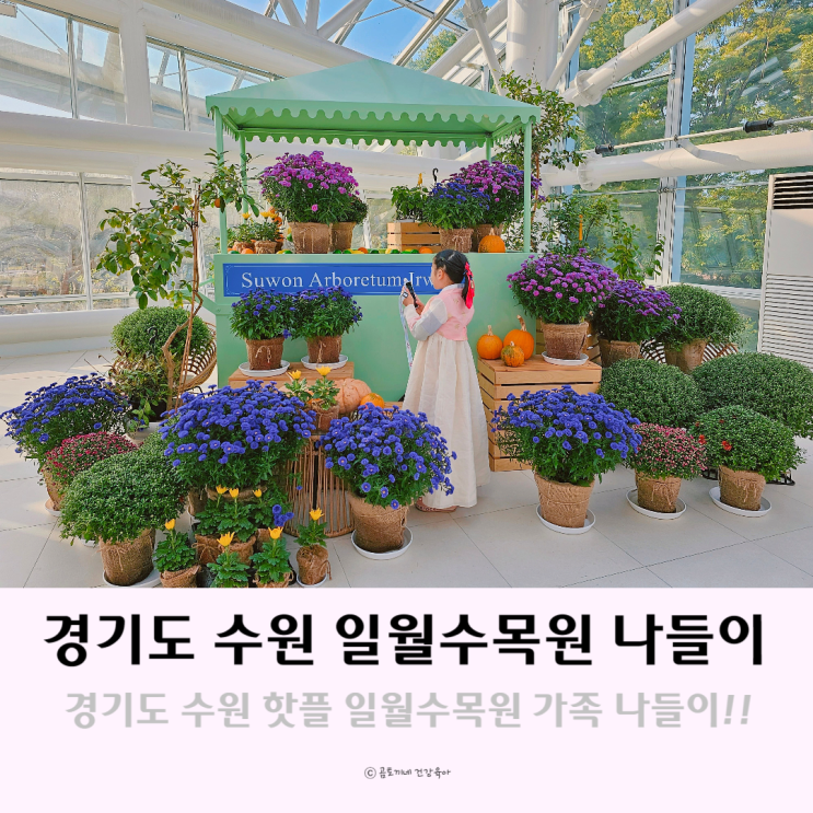 경기도 수원 핫플 일월수목원 나들이 가볼만한곳