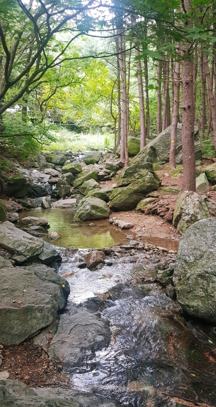  청계산 맑은 숲 공원 산책하기 좋은길