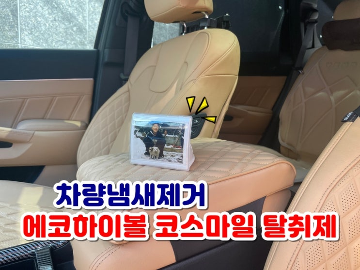  차량용탈취제 에코하이볼 코스마일 새차냄새제거