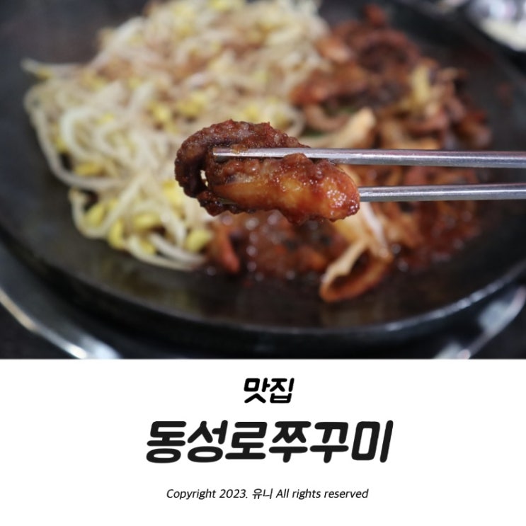  대구 율하 맛집 동성로쭈꾸미 율하광장 점심메뉴로 딱이야