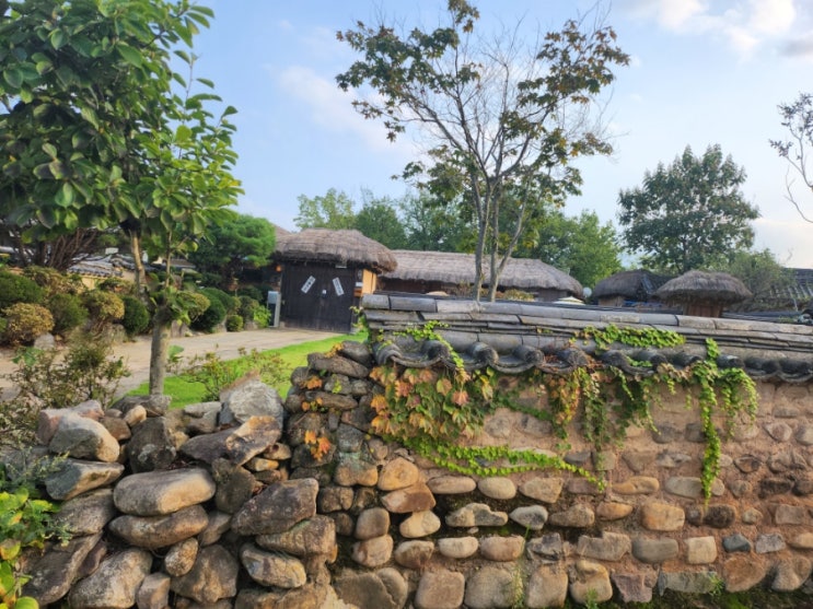  안동 하회마을 여행 후기