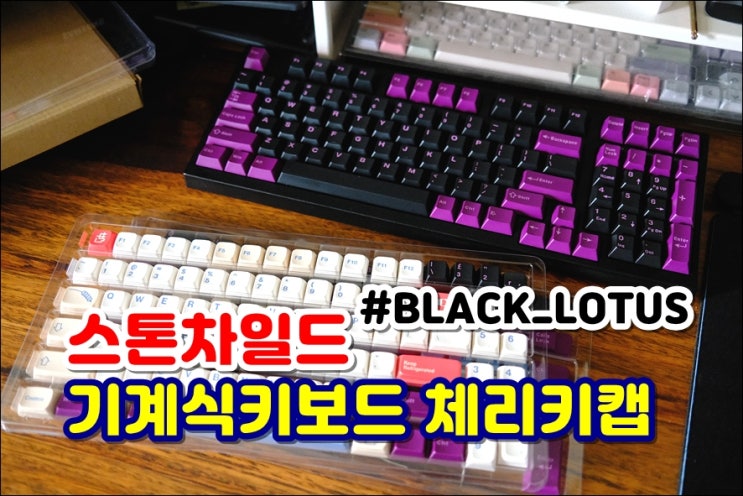  레오폴드 FC980M 기계식키보드키캡 체리키캡으로 키보드커스텀 했어요