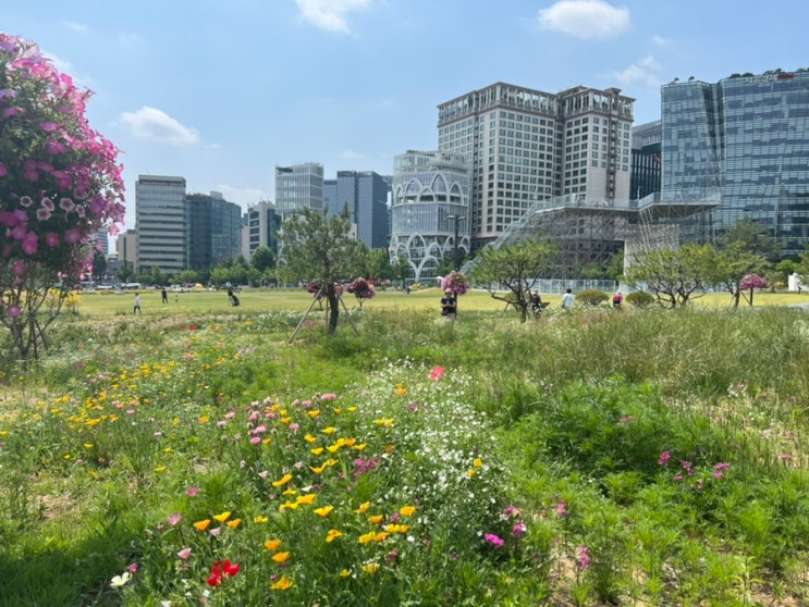  [서울 북촌] 안국역 근처 산책하기 좋은곳 열린송현 녹지광장공원