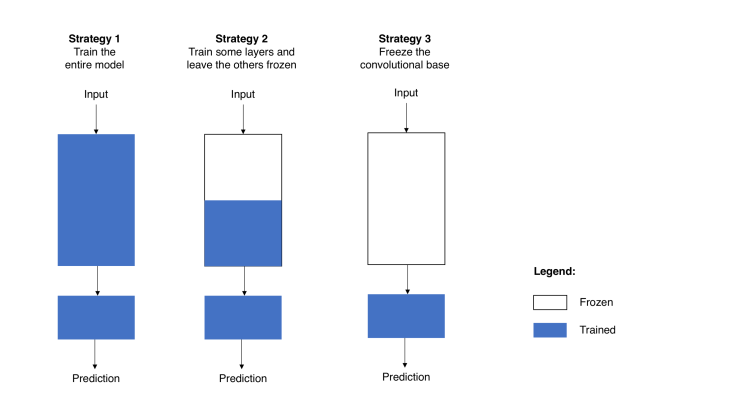  The Strategy of Transfer Learning & Fine Tuning