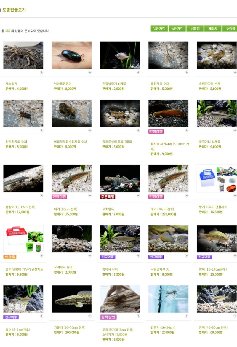 매직아쿠아 수족관 홈페이지에서 토종 민물고기들 살펴보기 : 네이버 블로그, image size:800x1171