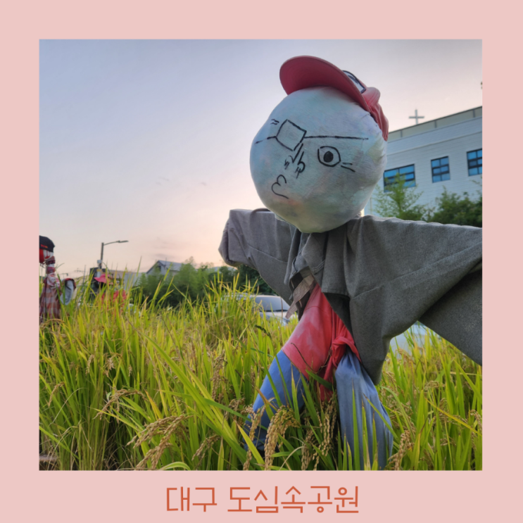  대구 도심속 공원 - 무학산 공원 가볍게 가기 좋은 곳