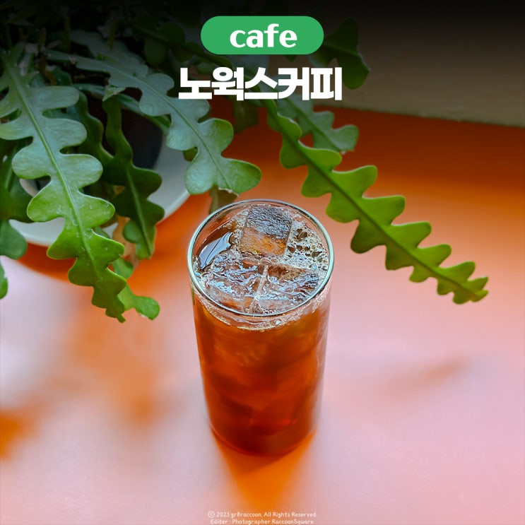  대구 동인동 카페 노웍스커피 찐후기
