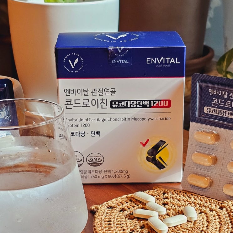 연골영양제 엔바이탈 콘드로이친 뮤코다당단백