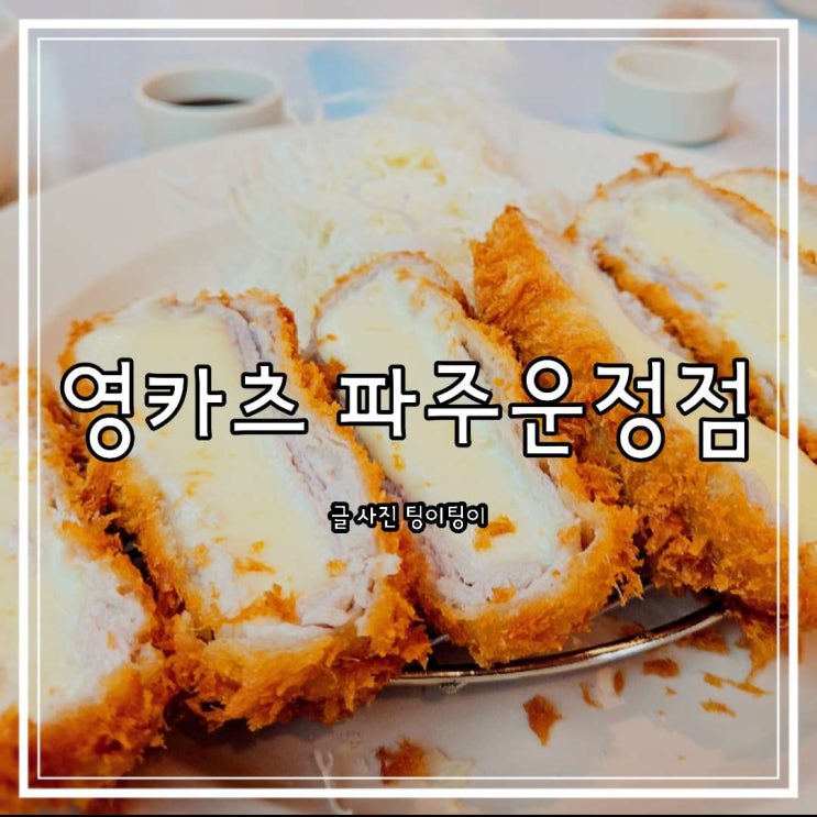  운정 맛집 추천 산내마을 돈까스 밥집 영카츠 파주운정점