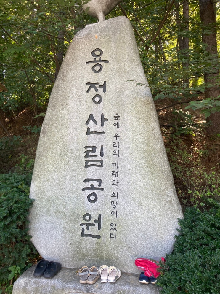 청주 맨발 걷기 좋은 곳 2탄 "김수녕 양궁장 옆 용정산림공원" 아이들과 데이트 청주 맨발 걷기 좋은 곳 2탄 "김수녕 양궁장 옆 용정산림공원" 아이들과 데이트