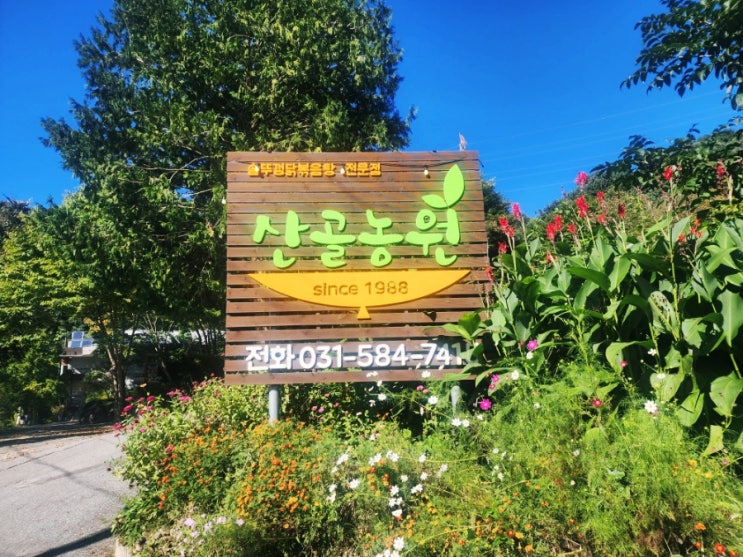  가평맛집 산골농원 솥뚜껑닭볶음탕 내돈내산 솔직후기&예약팁