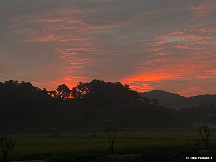 명절 차례상없는 추석 일상과 시골집처럼 변해가는 본가