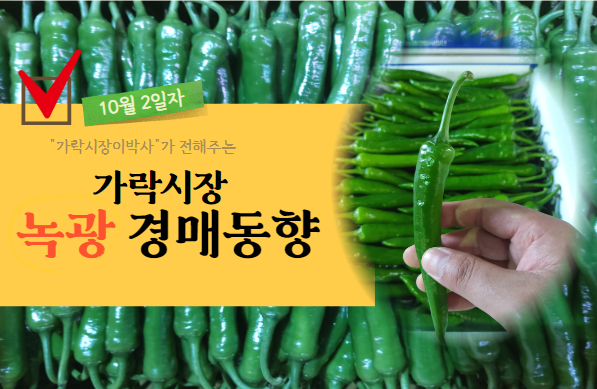  [경매사 일일보고] 10월 2일자 가락시장 녹광 경매동향을 살펴보겠습니다!