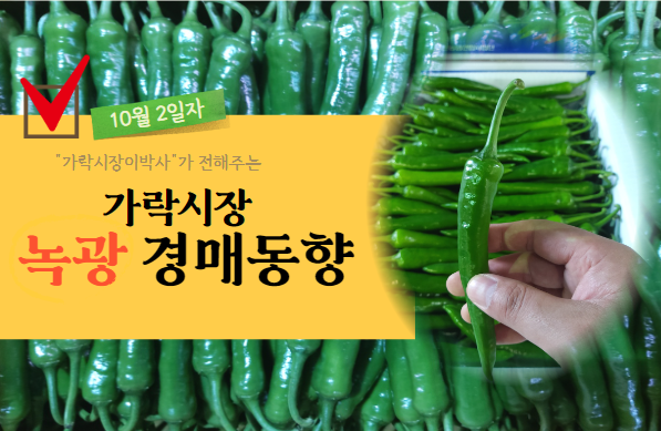 [경매사 일일보고] 10월 2일자 가락시장 녹광 경매동향을 살펴보겠습니다!