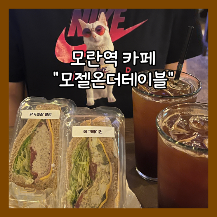  [모란] 늦은 시간까지 영업하는 애견동반가능 카페 "모젤온더테이블" 내돈내산