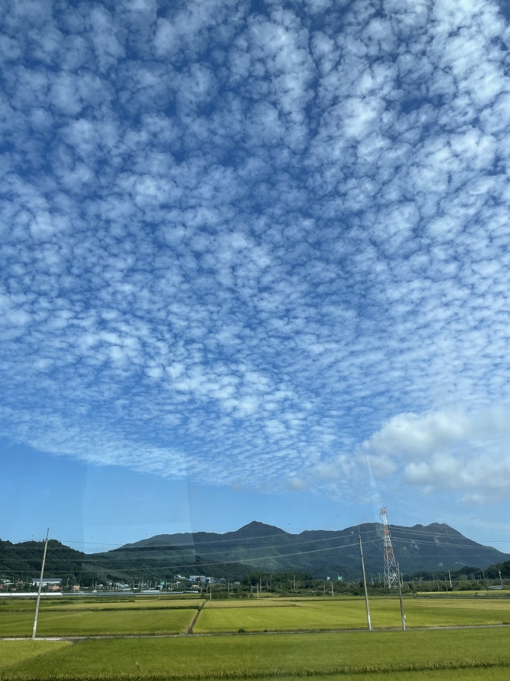 추석 연휴 일상 공유  요즘 드는 생각 정리c️(feat.오랜만에 하는 블로그️)