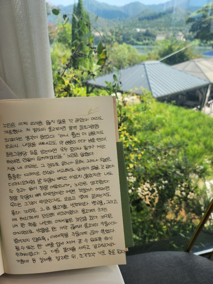 필사의 힘 라이팅북 노인과바다 6개월만에 한 권 통필사 완성