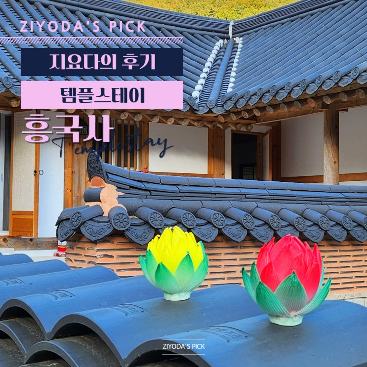  경기/고양_흥국사 템플스테이 후기 (체험형, 뚜벅이)