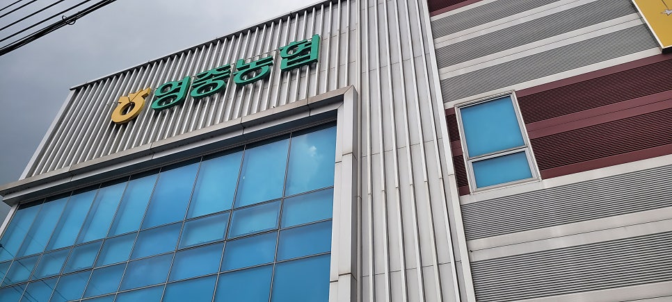 영플라워 사진 1