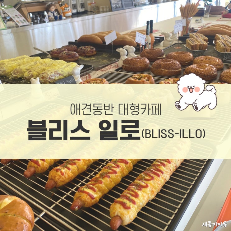  목포 근교 무안 일로읍 애견 동반 대형카페 블리스일로 베이커리 맛집 다녀온 후기