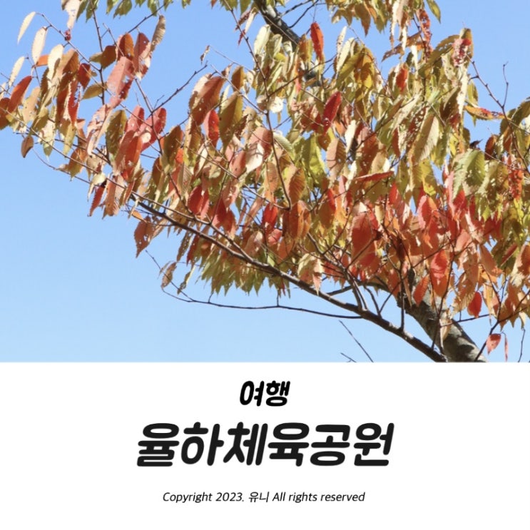  대구 아이랑 가볼만한곳 율하체육공원 분수 황토체험 주차정보