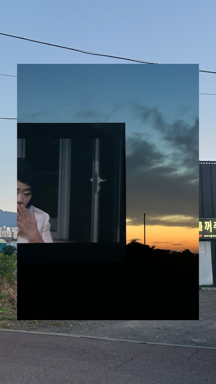  제주 이호이동 애견동반 영화관 제주자동차극장｜@drive.in.jeju