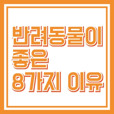  강아지를 키우기 고민하는 분들, 키울 때 이런 점이 좋아요!