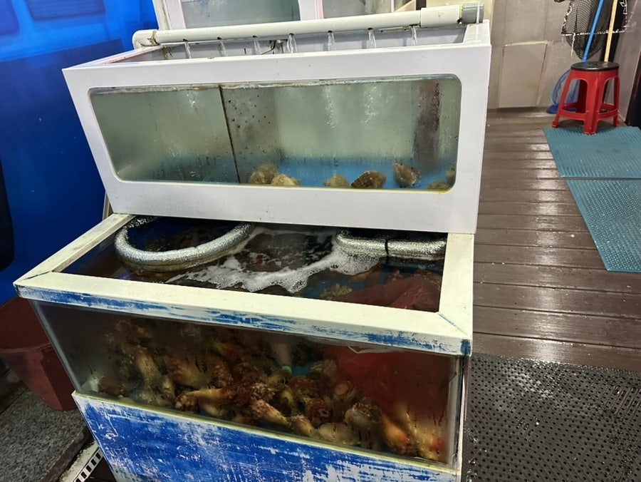 광어한마리9900 사진 2