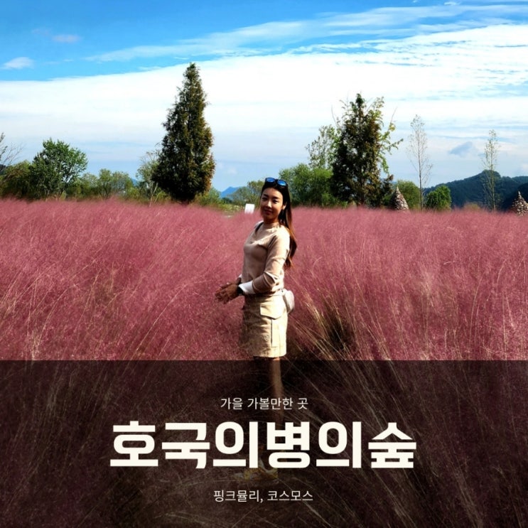 경남 가을여행 의령 핑크뮬리 명소 호국의병의숲 친수공원 다녀왔어요.