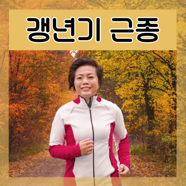  갱년기 자궁근종 여성호르몬