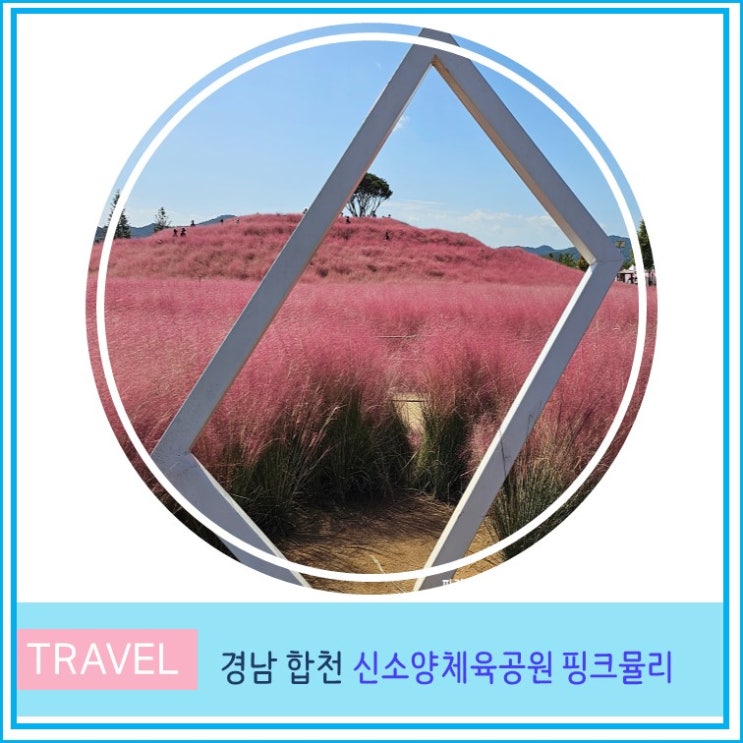  경남 핑크뮬리 합천 신소양 체육 공원 주차 포토존 10월 대구 근교 드라이브 가볼만한 곳 가을 꽃 구경 여행 명소